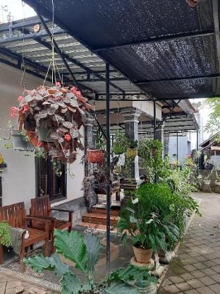 The Coral Lodge Vacation rental in Buleleng