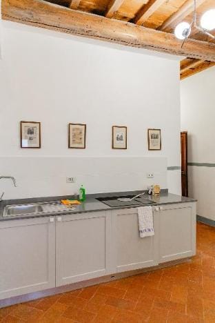 Big apartment near Piazza Santo Spirito Vacation rental in Florence