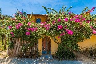 Flow House 3BR Oceanview An Bang Beach Hoi An Vacation rental in Hoi An