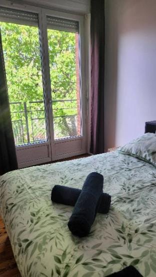 T3 Confort- Belle Vue - Parking Priv Hypercentre Apartment in Toulouse