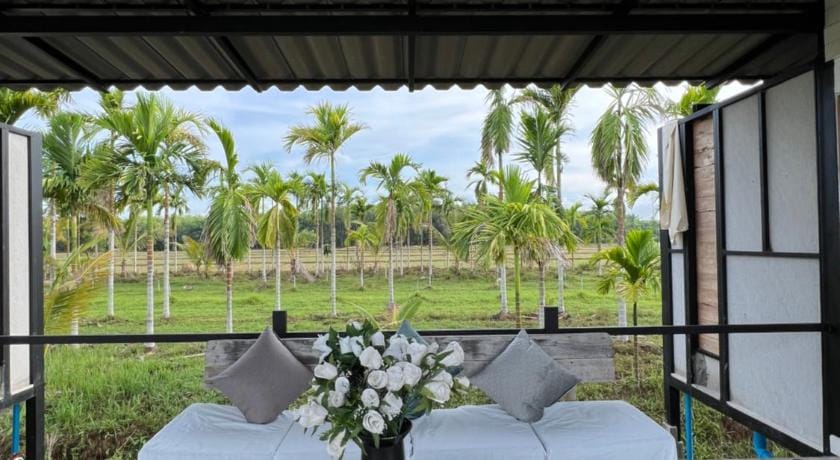 นาน้าหมูFarm Stay Farm Stay in Thailand