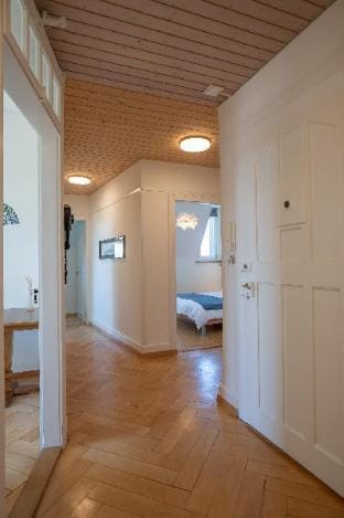 Charmante Altbauwohnung am Rhein Vacation rental in Basel