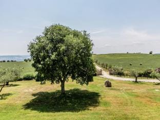 Farmhouse in Montoro near Montoro Castle Vacation rental in Umbria