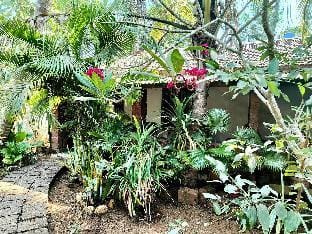 L'AZUR Studio Cottage 1, Vagator Beach GOA Vacation rental in Goa, India