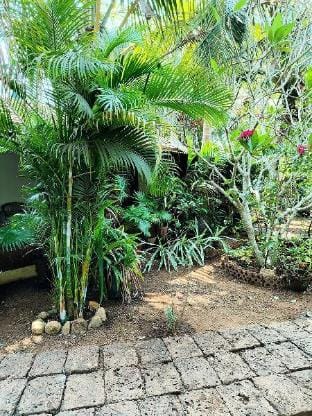 L'AZUR Studio Cottage 1, Vagator Beach GOA Vacation rental in Goa, India