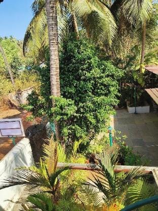 L'AZUR Studio Apartment, Vagator Beach GOA Vacation rental in Goa, India