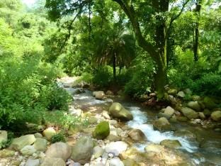 Meditative Meadows  Vacation rental in Punjab, India