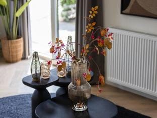 Lodge in Netherlands with Furnished Terrace Vacation rental in North Brabant (province)