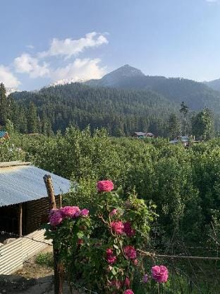PINK HOUSE CAFE &HOMESTAY KALGHA Vacation rental in Himachal Pradesh