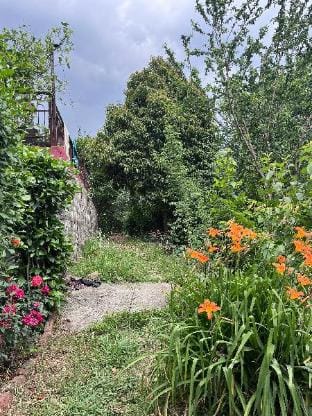 Private room with Dhauladhar Mountain View Vacation rental in Punjab, India