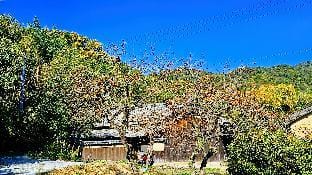 TAKETEI Vacation rental in Japan