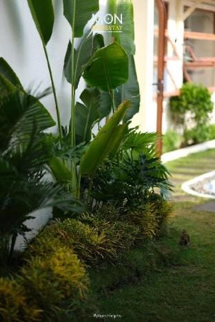 MON House Apartment in Phan Thiet