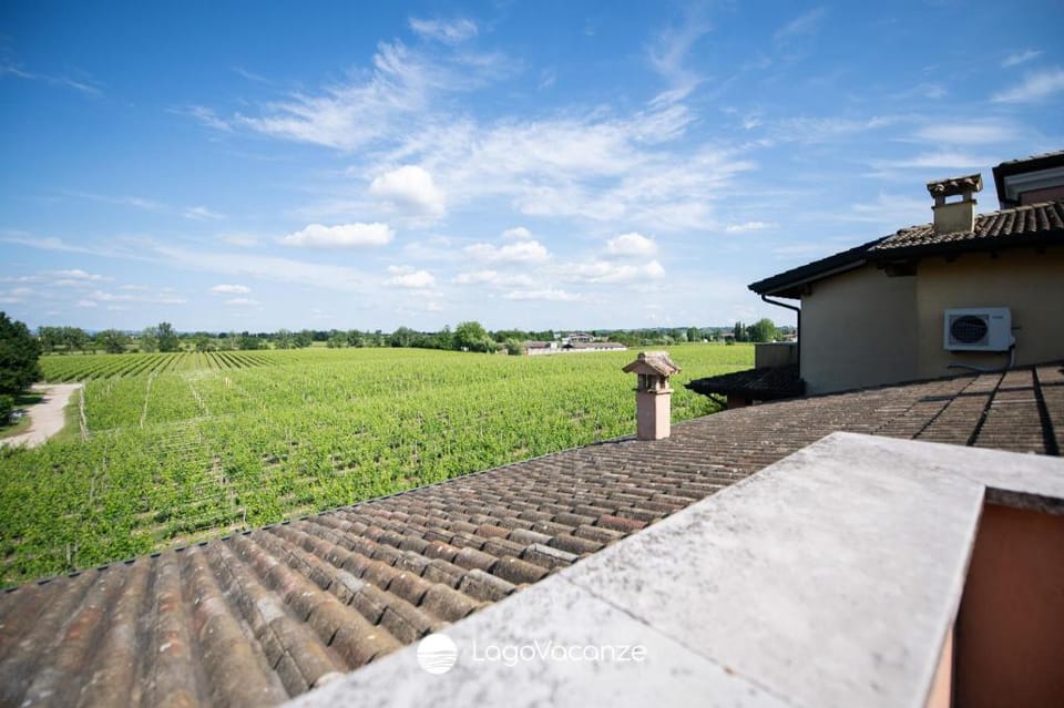 Appartamento ai Vigneti Apartment in Sirmione