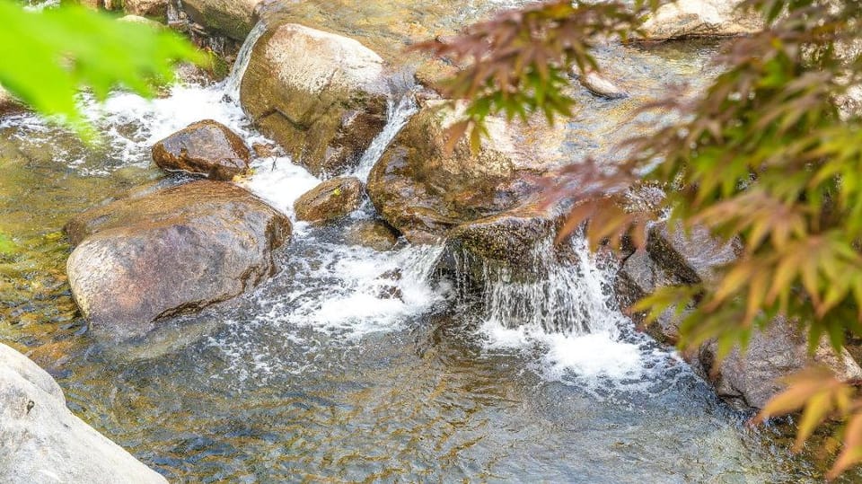 Gapyeong Yumyeongsan Gomone pet Camping Bed and Breakfast in Gyeonggi-do