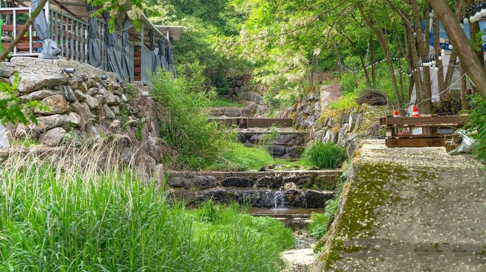 Gapyeong Yumyeongsan Gomone pet Camping Bed and Breakfast in Gyeonggi-do