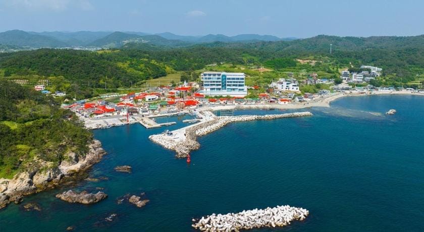 Pohang Madame Annette Pool Villa - dogs allowed Bed and Breakfast in South Korea