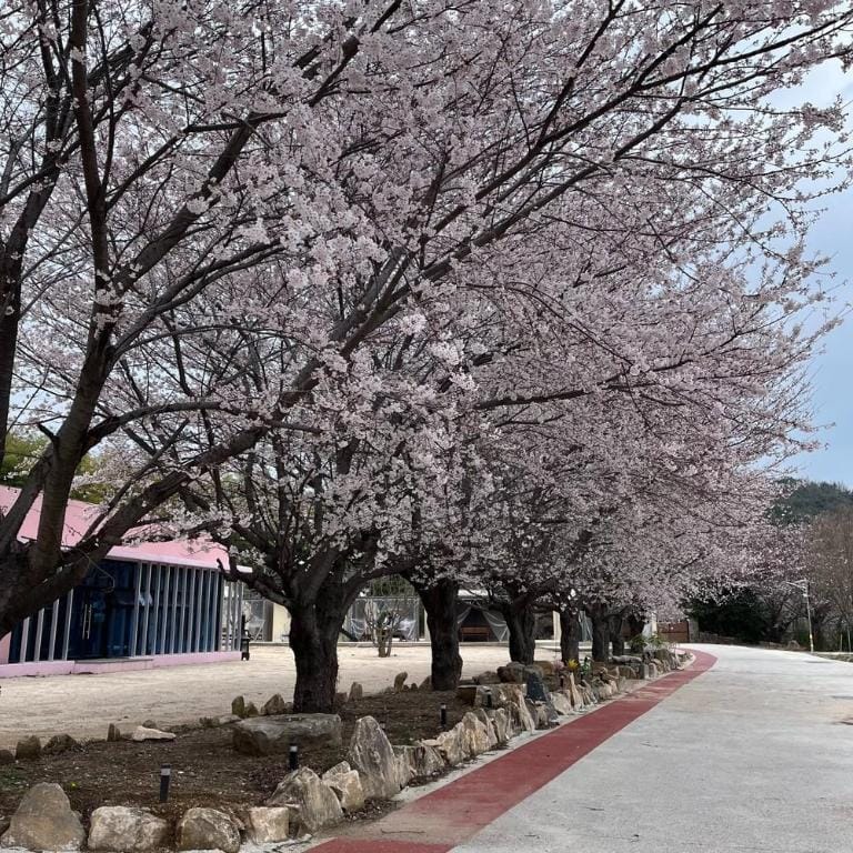 Namhae Siseon Glamping Pension Bed and Breakfast in South Korea