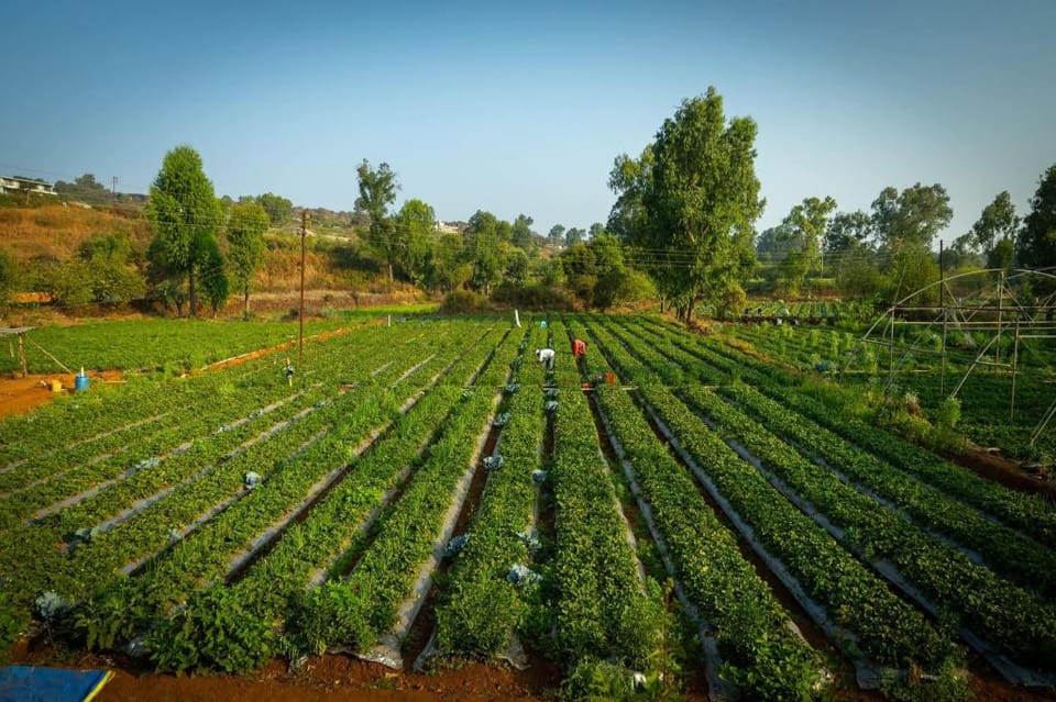 ROOMA Resedency Mahableshwar Hotel in Maharashtra