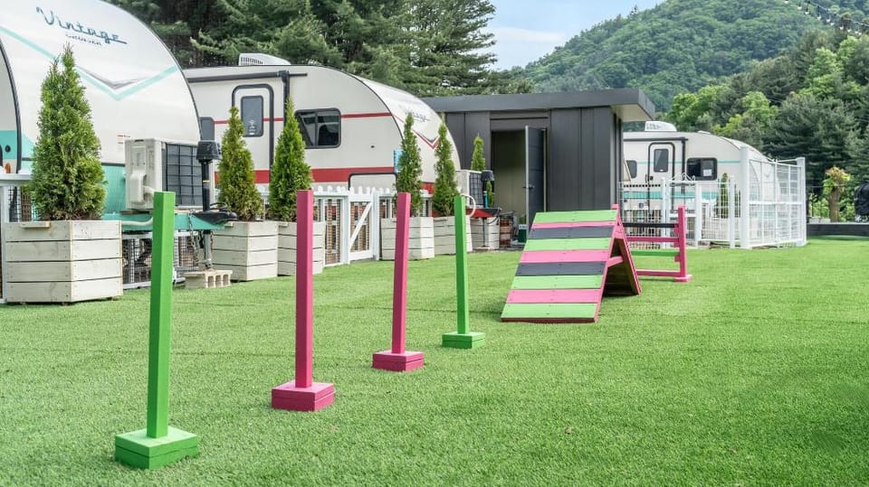 Gapyeong Dongban84 Glamping&Pool villa Vacation rental in Gyeonggi-do