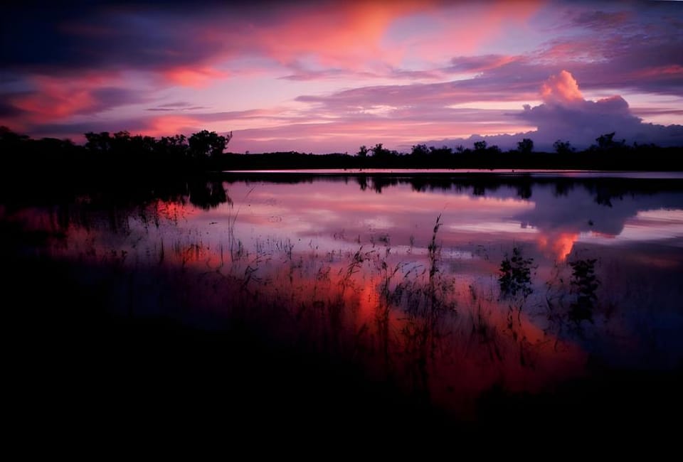 Wild Nature Lodge, Mareeba Wetlands Luxury tent in Queensland