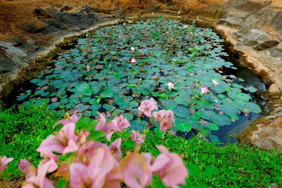 The Hidden Pearl Palakkad by Chakola’s Hospitality Vacation rental in Kerala