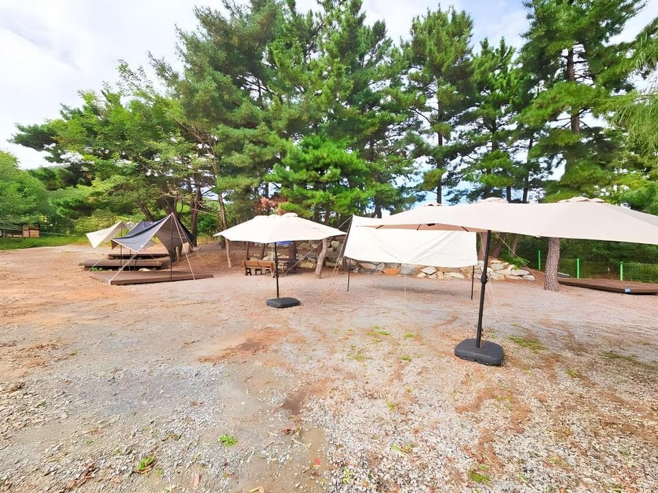 Donghae Udal Ocean Tennis Pension Bed and Breakfast in South Korea