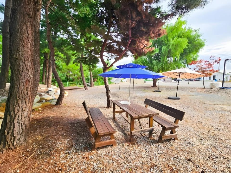 Donghae Udal Ocean Tennis Pension Bed and Breakfast in South Korea