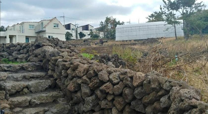Jeju Bijarim Berry Mung Pension Bed and Breakfast in South Korea