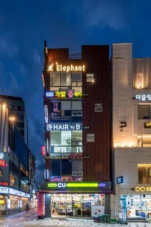 #elephant Vacation rental in Busan