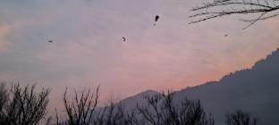 Chanda Homestay - Raison, Kullu-Manali NH Vacation rental in Himachal Pradesh