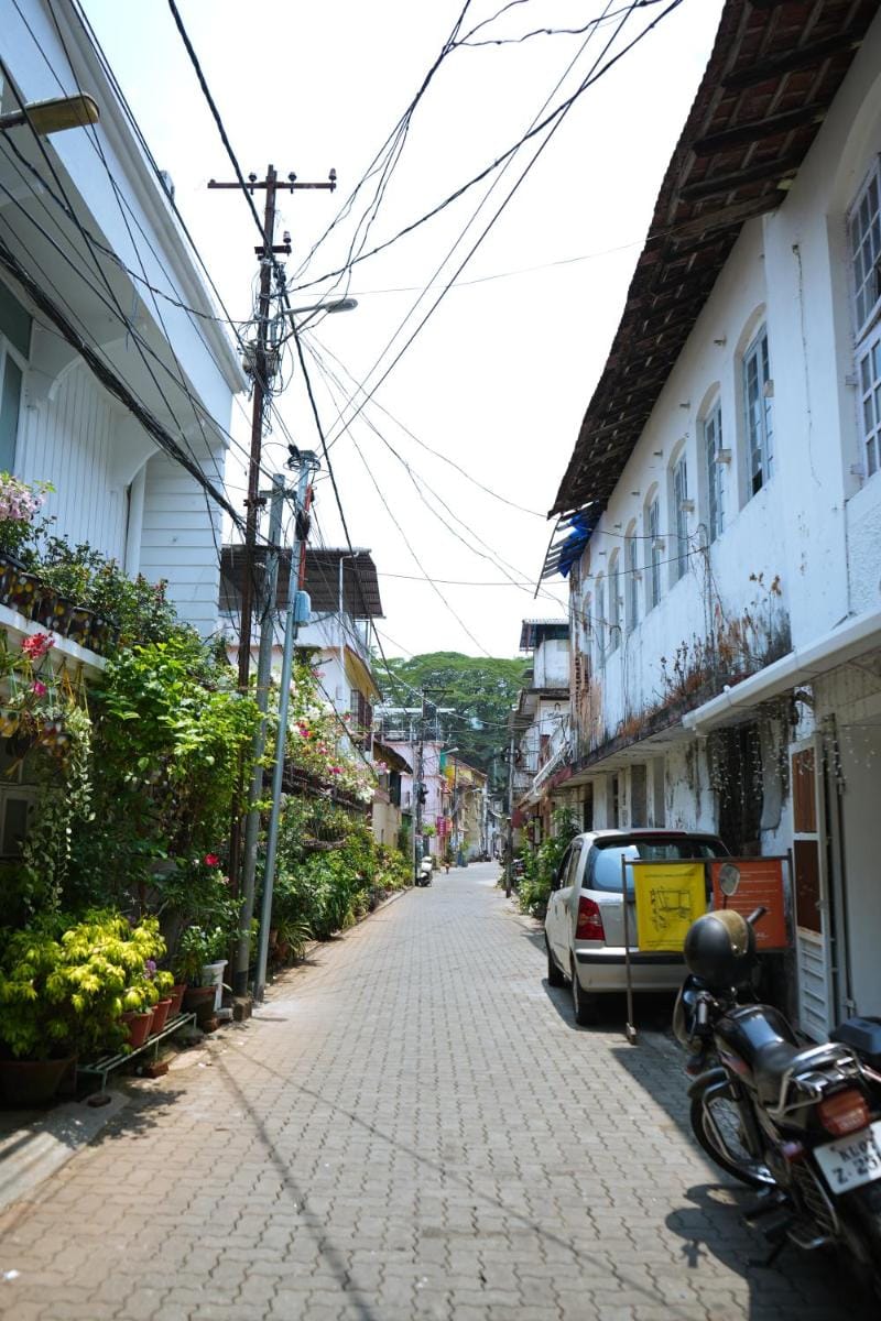 MOTHER TREE INN Vacation rental in Kochi