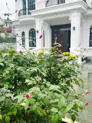 BinhLan Villa Villa in Laos