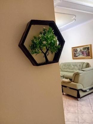 Floral Sweet Home Apartment in Vlorë