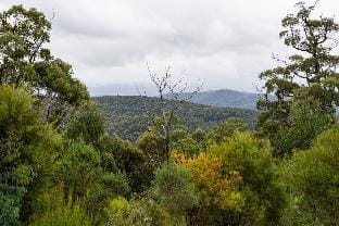 Listen To The Sounds Of The Forrest Vacation rental in Victoria