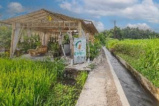 Camani Glamping Campground/ 
RV Resort in Karangasem Regency