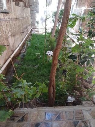 شقة ممتازة مفروشة بمدينة نصر Vacation rental in Cairo Governorate