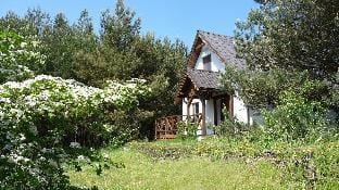 Domek w Sosnowym Lesie- nad morzem, sauna, konie Vacation rental in Pomeranian Voivodeship