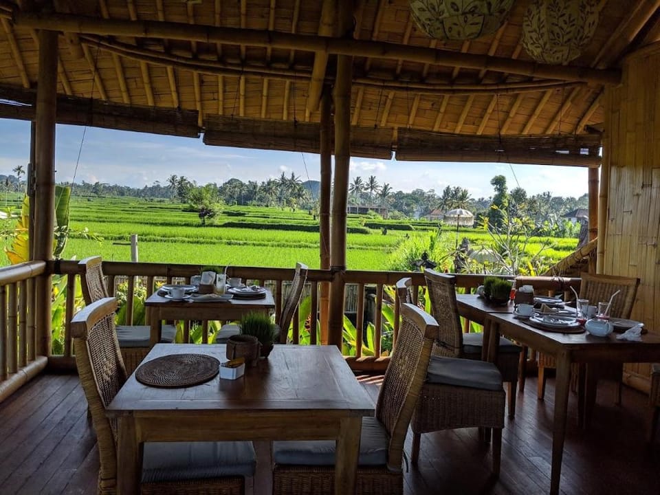 Padi Bali Retreat Hotel in Payangan
