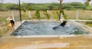 The Cozy Corner Vacation rental in Karnataka