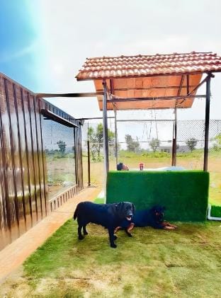The Cozy Corner Vacation rental in Karnataka