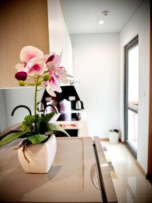 Chiếc“Tổ”xinh xinh tại Hạ Long Vacation rental in Laos