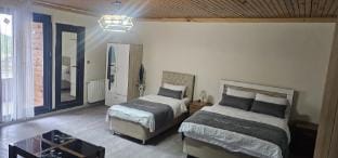 Uzungol Dilek Pansiyon Apartment in Turkey