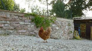 Country house - Casa Casimiro Vacation rental in Umbria