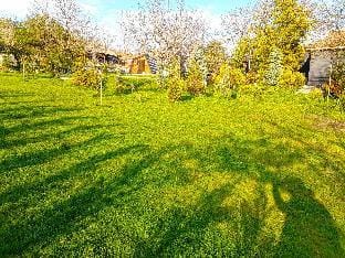 Village house Vacation rental in Serbia