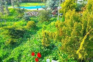 Village house Vacation rental in Serbia
