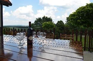Villa LipaHills Vacation rental in Vojvodina