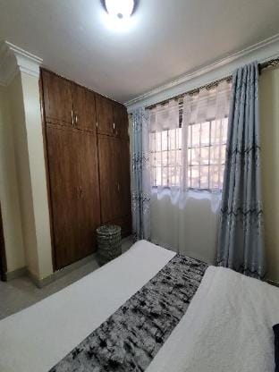 Modern and Homely Apartment Apartment in Kampala