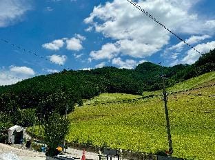 High1 High Haneul 정선|독채숙소|하이원스키장|하이원리조트|민둥산 Vacation rental in South Korea