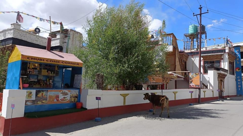 Heritage Chubi Hotel in India