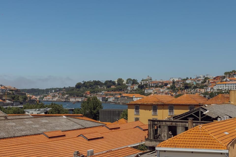 Douro Panoramic Views by Vacationy Apartment in Vila Nova de Gaia